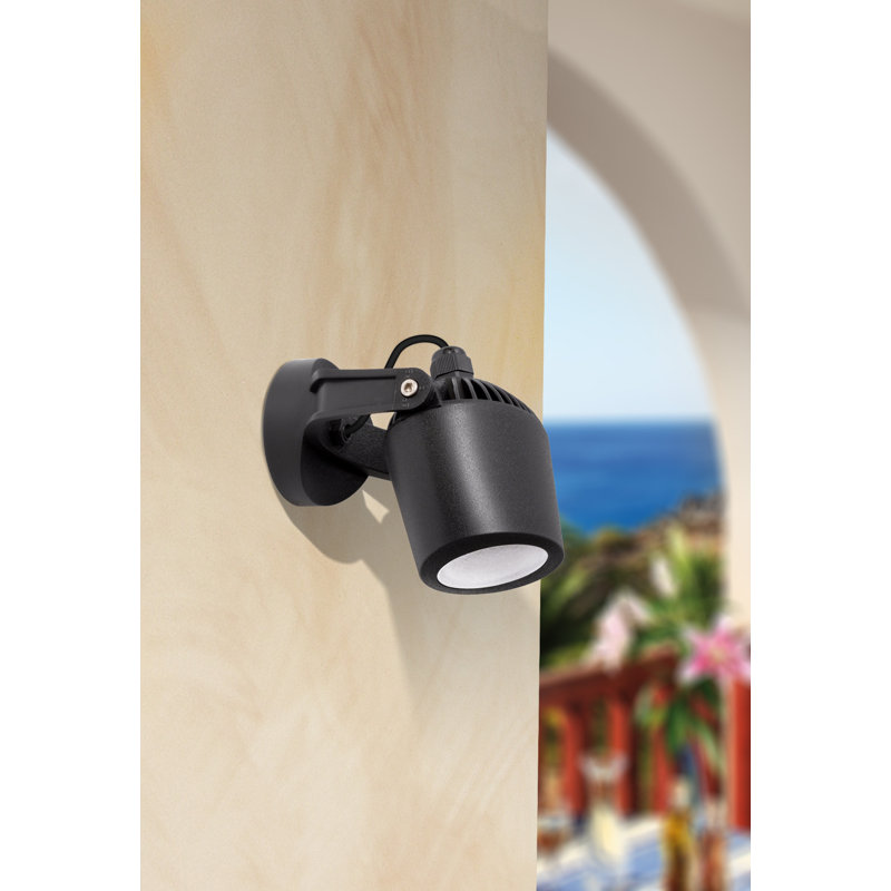 Lundquist Black Spotlight