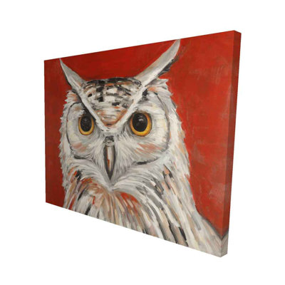 Colourful Eagle Owl - Animals Bedroom Canvas for Home Decor