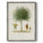Antique Tree with Fruit X Framed Print - Solid Wood-1997683292