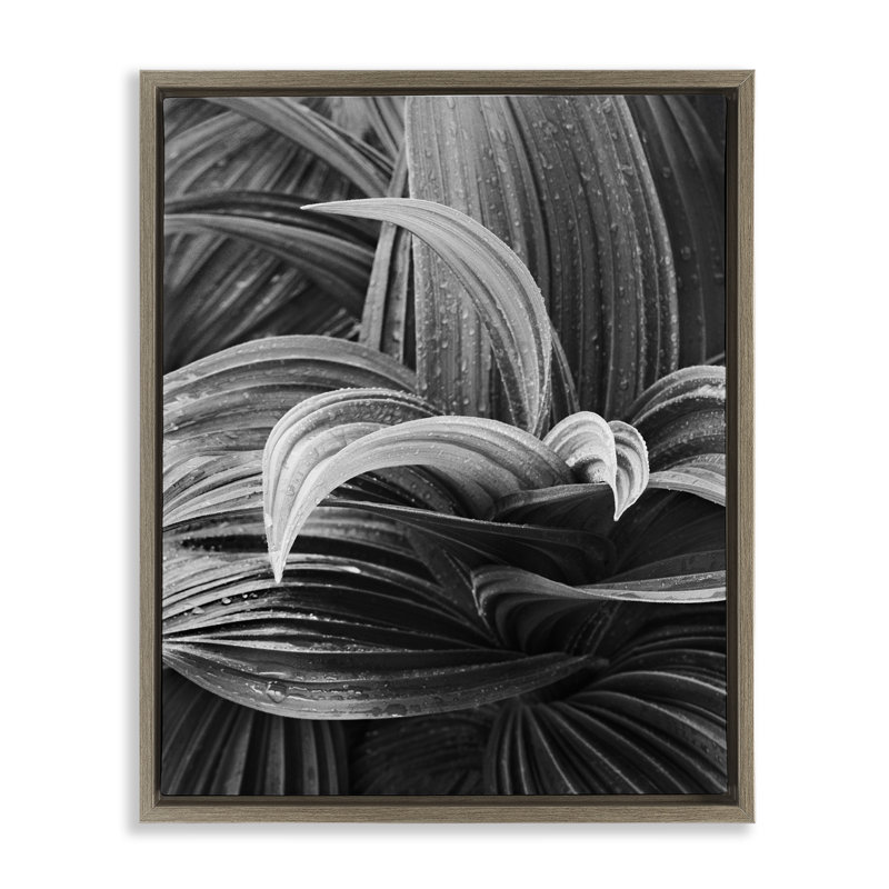 «Wet Leaves» par Chip Forelli, Cadre flottant orme Montalcino, H 21 po x l 17 po