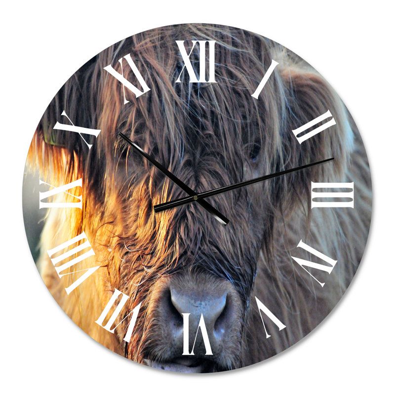 Vache écossaise sur une terre ferme - horloge murale, Moyen