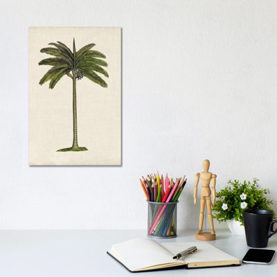 British Palms IV by Naomi McCavitt - Wrapped Canvas Print