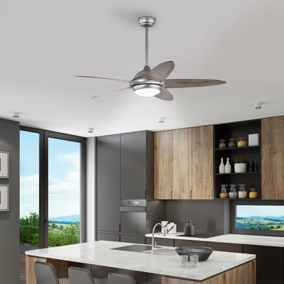 Ventilateur de plafond 52 po avec éclairage et télécommande Ivy Bronx