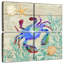 Crabe Brampt Seagrove I