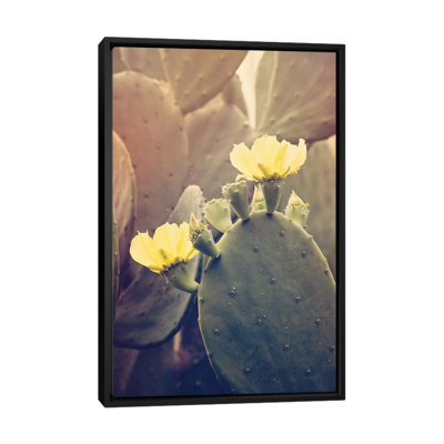 Desert Rose by Ann Hudec - Wrapped Canvas Photograph