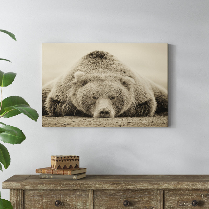Deep Sleep by PHBurchett - Print, 61cm H x 91cm W, Wrapped Canvas