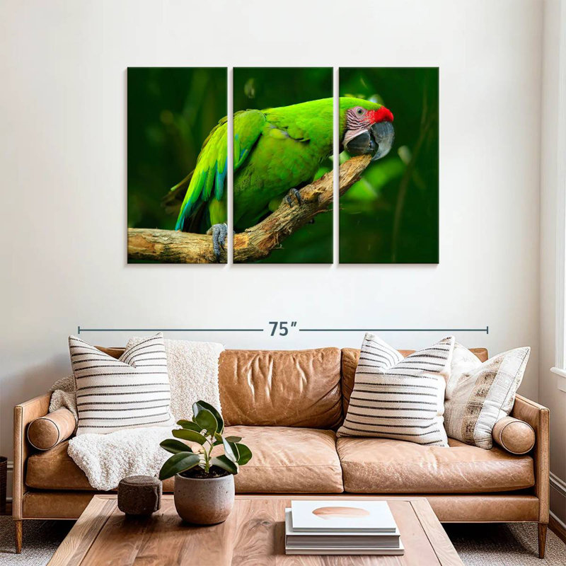 Brampt Military Macaw, 36" H x 57" W