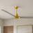 Alessandra 56'' Ceiling Fan-1813772011-1813771986