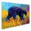 «Young Restless II Black Bear Big» par Marion Rose, reproduction sur toile-21935671