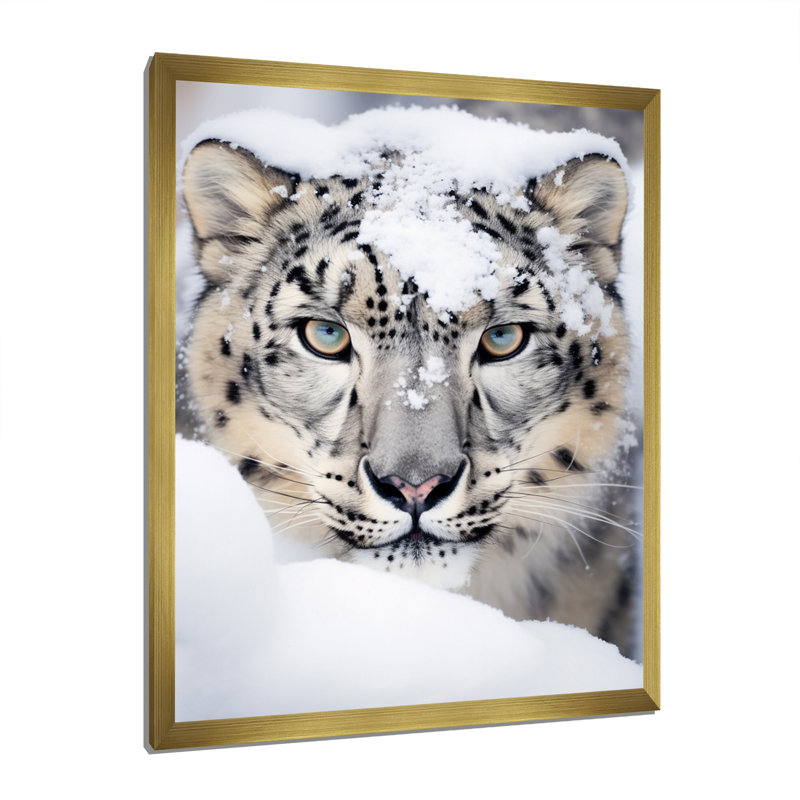 Tigre blanc en hiver I - impression, Encadrement doré, H 32 po x l 24 po x P 1 po