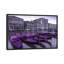 «Venice XVII» par Assaf Frank - reproduction-33101717-71538713