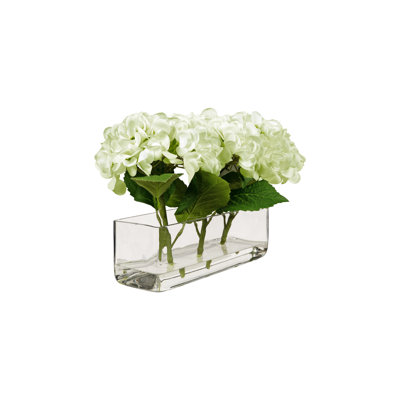 Hortensias verts dans un vase rectangulaire en verre