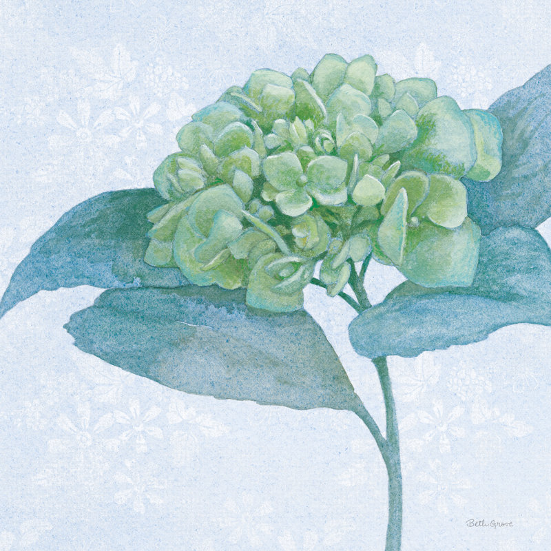 Bleu hortensia II clair, H 30 po x l 30 po
