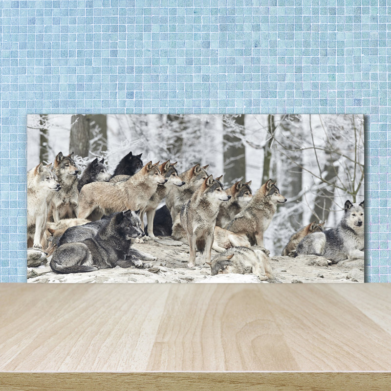 Franta 50cm W x 100cm L Glass Peel and Stick Panel