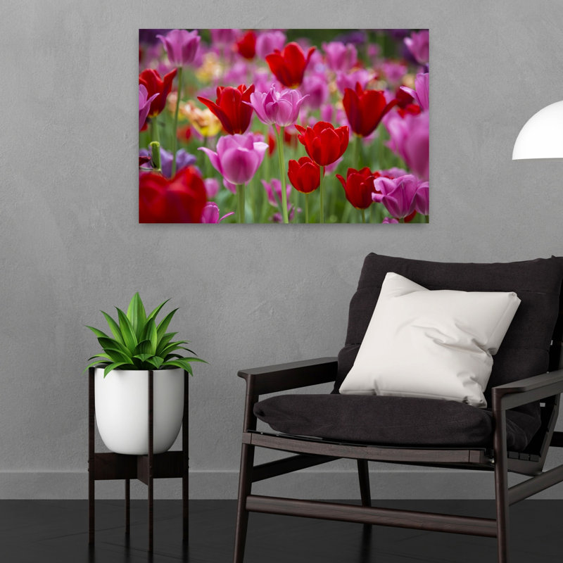 Red And Pink Tulips In A Garden Cantigny Park Wheaton Illinois USA by Richard Day - Wrapped Canvas Print