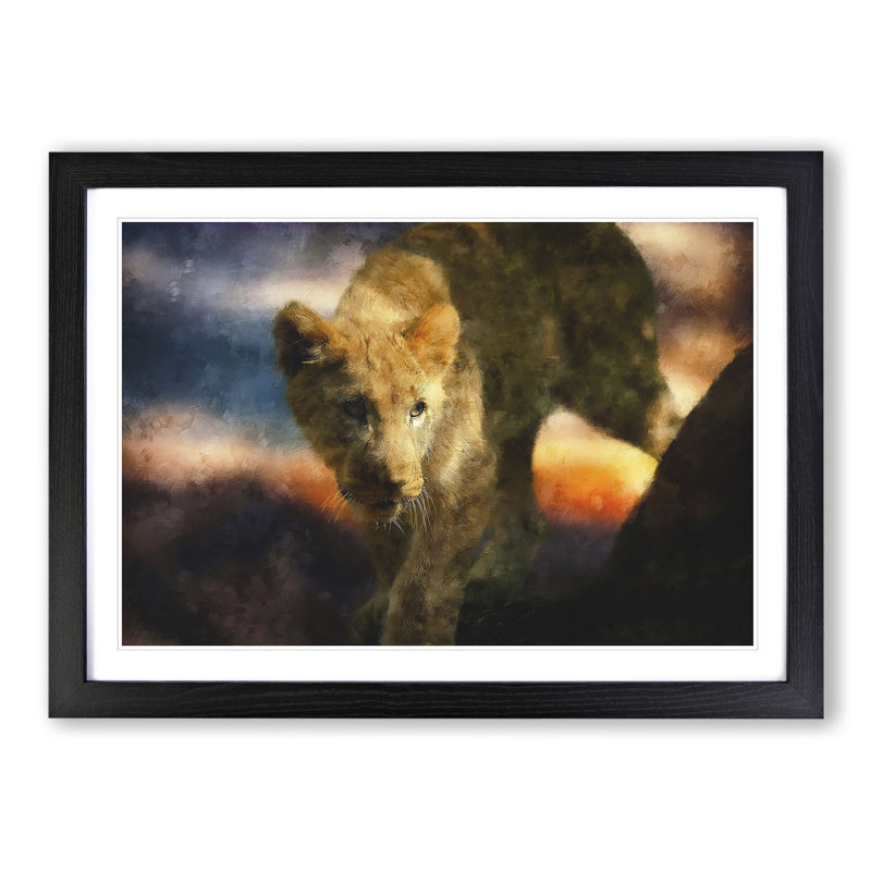Lion Cub - Picture Frame Graphic Art, Black Framed, 48cm H x 65cm W x 2cm D