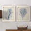 Indigo Coral-1687557495-1687523539-1687523541