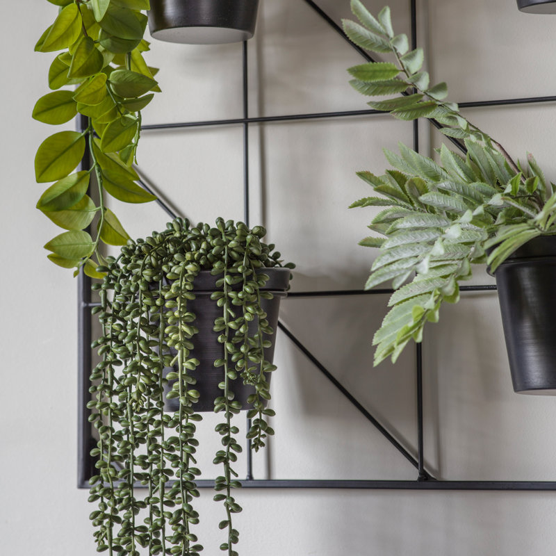 Wall Planter, 90cm H x 90cm W x 14.7cm D, Black