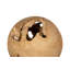 Teak Wood Ball Medium Sculpture