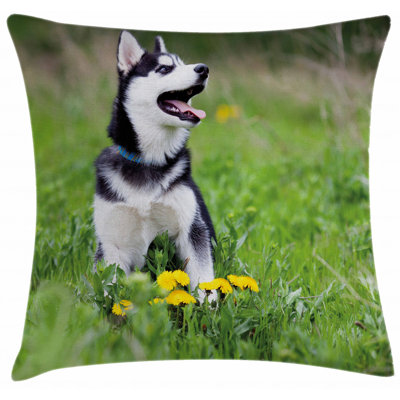 Pillow Cover