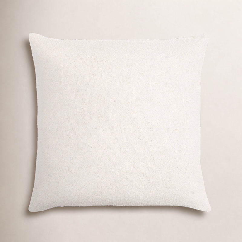Ellender Accent Throw Pillow with Fill, 20" x 20", Down