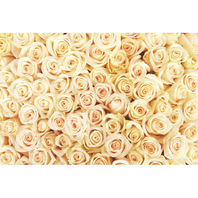 Yellow Roses In A Bunch by Hidesy - Wrapped Canvas Print, 81cm H x 122cm W x 3.8cm D