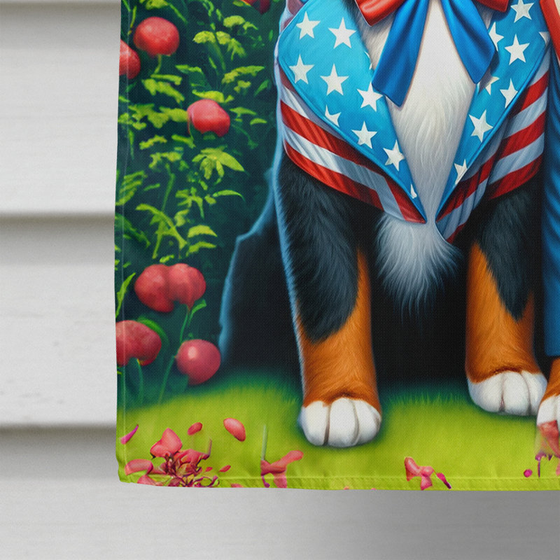Drapeau «All American House», Bouvier bernois