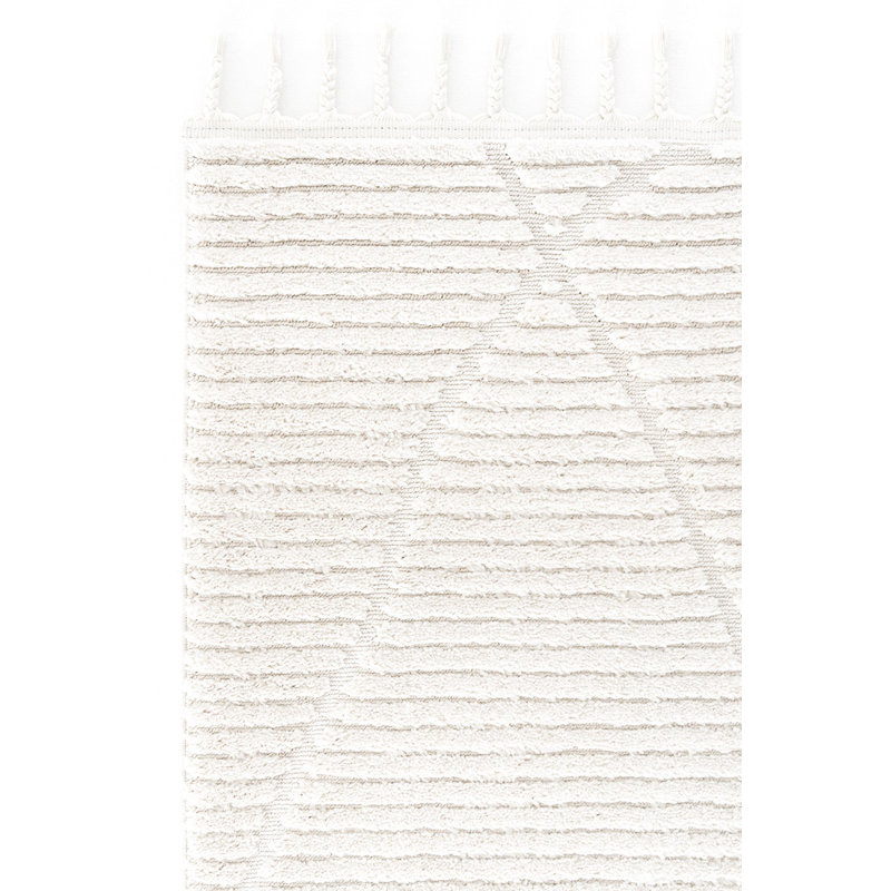 Schrie Machine Made Indoor / Outdoor Area Rug, Runner 2'7" x 8'2"