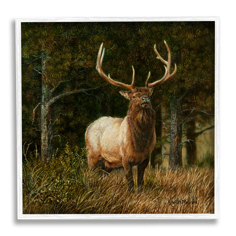 Elk In Forest, peinture sur bois, reproduction encadrée, Giclée encadrée blanc bord de mer, H 12 po x l 12 po x P 1,5 po
