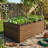 Raised Garden Bed