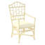 Chippendale Upholstered Arm Chair-1220169748-1252848225