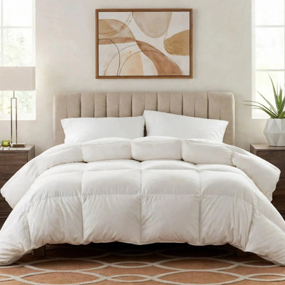 Luxurious 650 FP Feather Down Blend Duvet Insert/ Comforter with 100% Cotton Cover, Queen