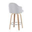 Contemporary Counter Stool-529814068