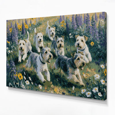 Dogs Cesky Terrier Gray Canvas Wall Art