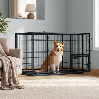Caisse pour chien robuste avec plateau amovible