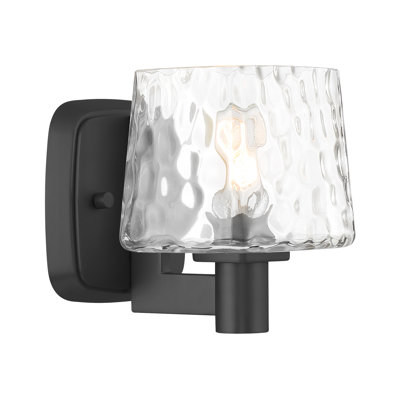 Breakwater Bay Adwitiya - 1 Light Bath Vanity In Coal Finish