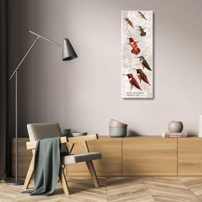 Colibri roux