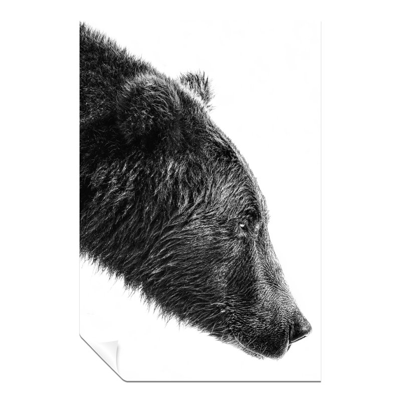 Black And White Bear Close Up - No Frame Print, 31cm H x 20cm W