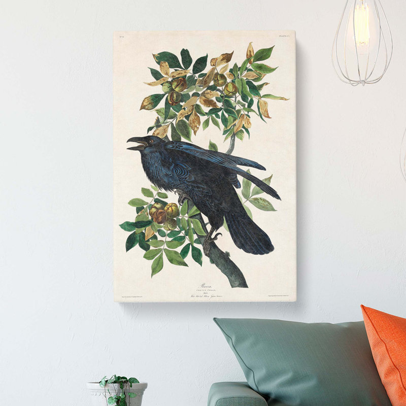 Raven by John Audubon - Wrapped Canvas, 50cm H x 35cm W x 3cm D