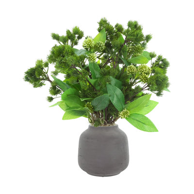 Ming Pine and Sedum in Fiberstone Vase