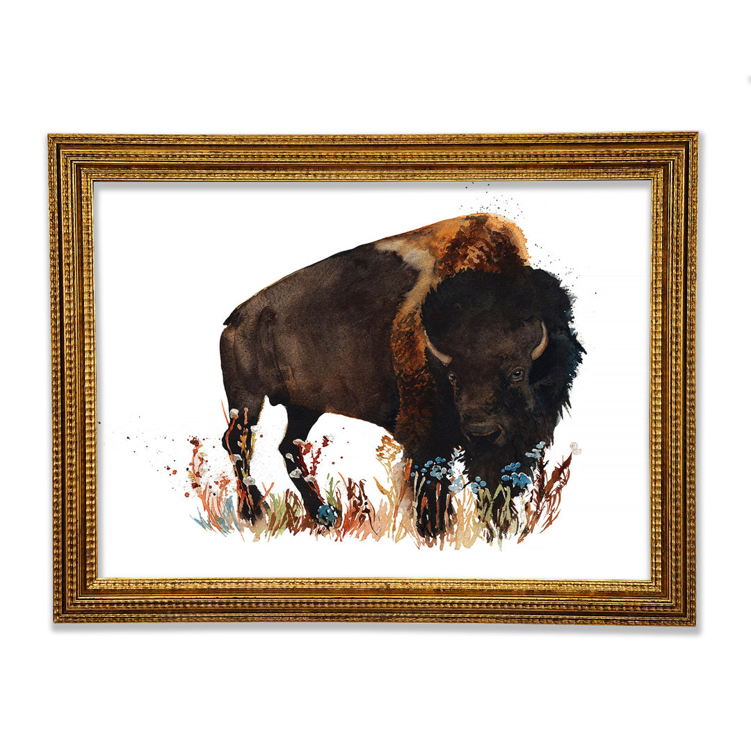 Bison Love - Einzelner Bilderrahmen Kunstdrucke