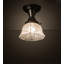 Mulkeytown 1 - Light Flush Mount
