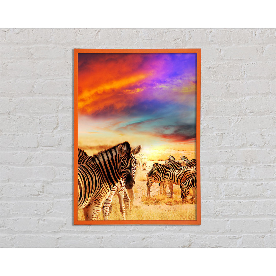 Poster Stunning Zebra Skies