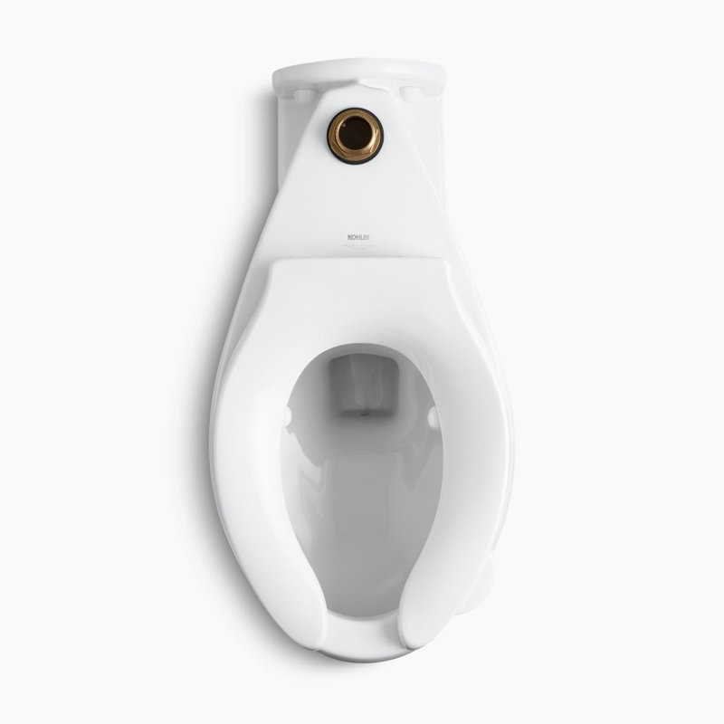 Anglesey 1.6GPF Elongated Flushometer Toilet (Seat Not Included), White