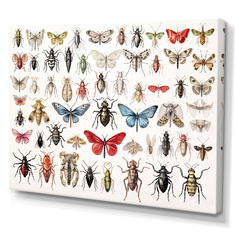 «Tiny Insect Wonders II», reproduction sur toile, H 16 po x l 32 po x P 1 po, Toile tendue