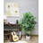 Faux Ficus Tree in Pot Liner-459885205-459885224