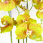 Real Touch Artificial Orchids Plastic, Silk Artificial Arrangement in Planter-88685030