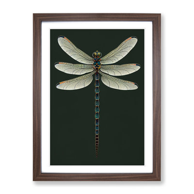 Symmetrical Dragonfly - Single Picture Frame Print