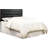 Sarina Upholstered Headboard-14232316-14232315