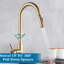 Aliette Modern Brushed Gold Kitchen Sink Mixer Tap Pull Out Sprayer Swivel Single Handle